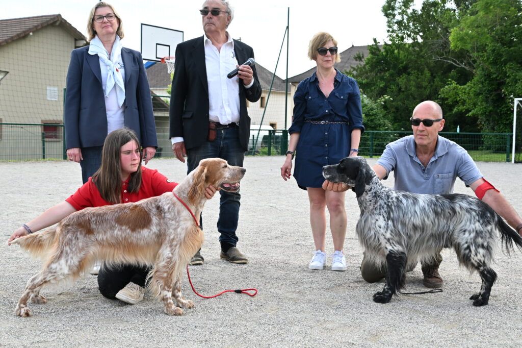 Du Sous Bois De Balmette - NE 2024