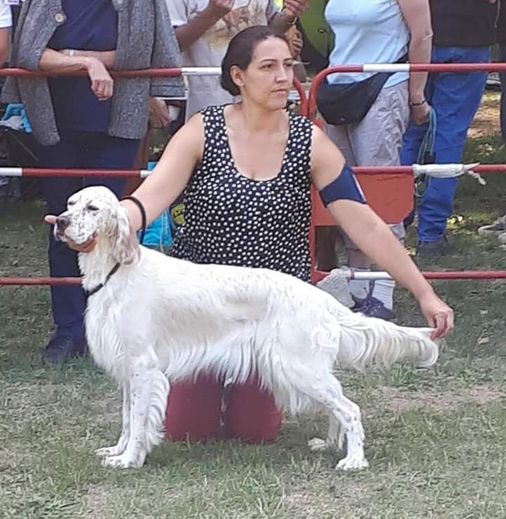 Du Sous Bois De Balmette - NDS MALTOT 2018 spécial de race 