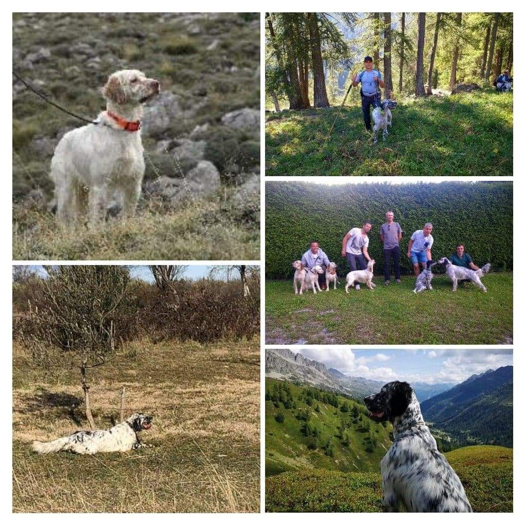 Du Sous Bois De Balmette - Montagne 2019 