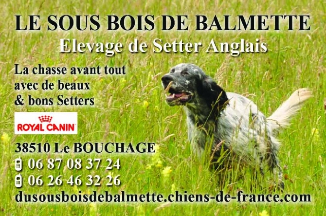 Du Sous Bois De Balmette - Nouvelle carte de visite 