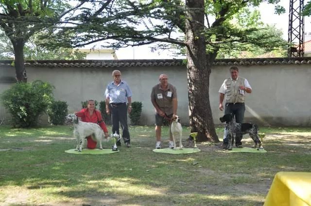 Du Sous Bois De Balmette - Exposition canine de Pierrelatte 2014