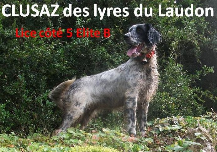 Du Sous Bois De Balmette - Clusaz des lyres de Laudon