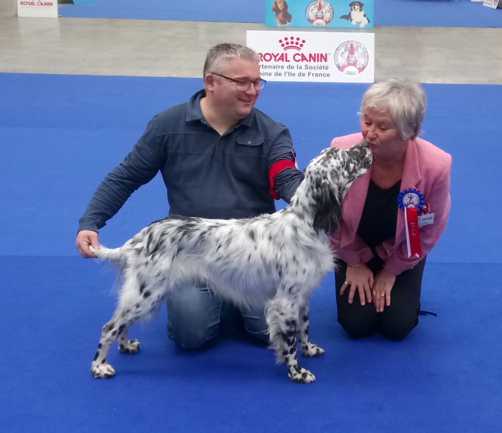 Du Sous Bois De Balmette - PARIS DOG SHOW CACS Acte 1