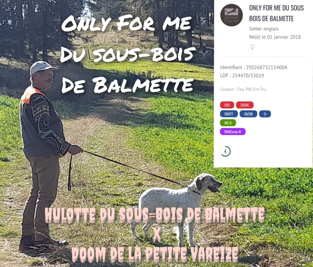 Du Sous Bois De Balmette - Championne !!!