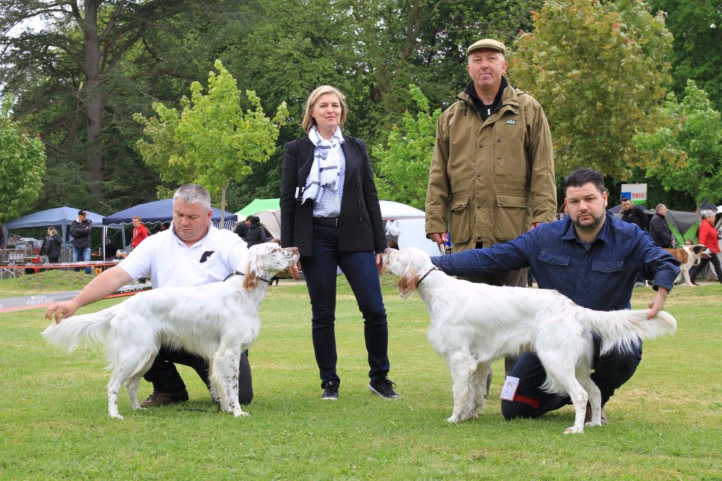 Du Sous Bois De Balmette - CACS St AMBREUIL 2017