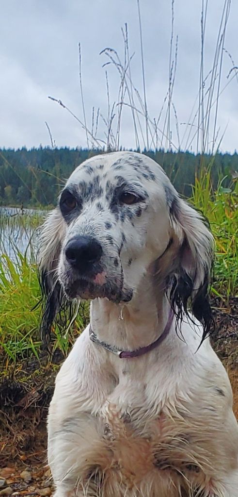 TR. Tzigane de la vallée du gland