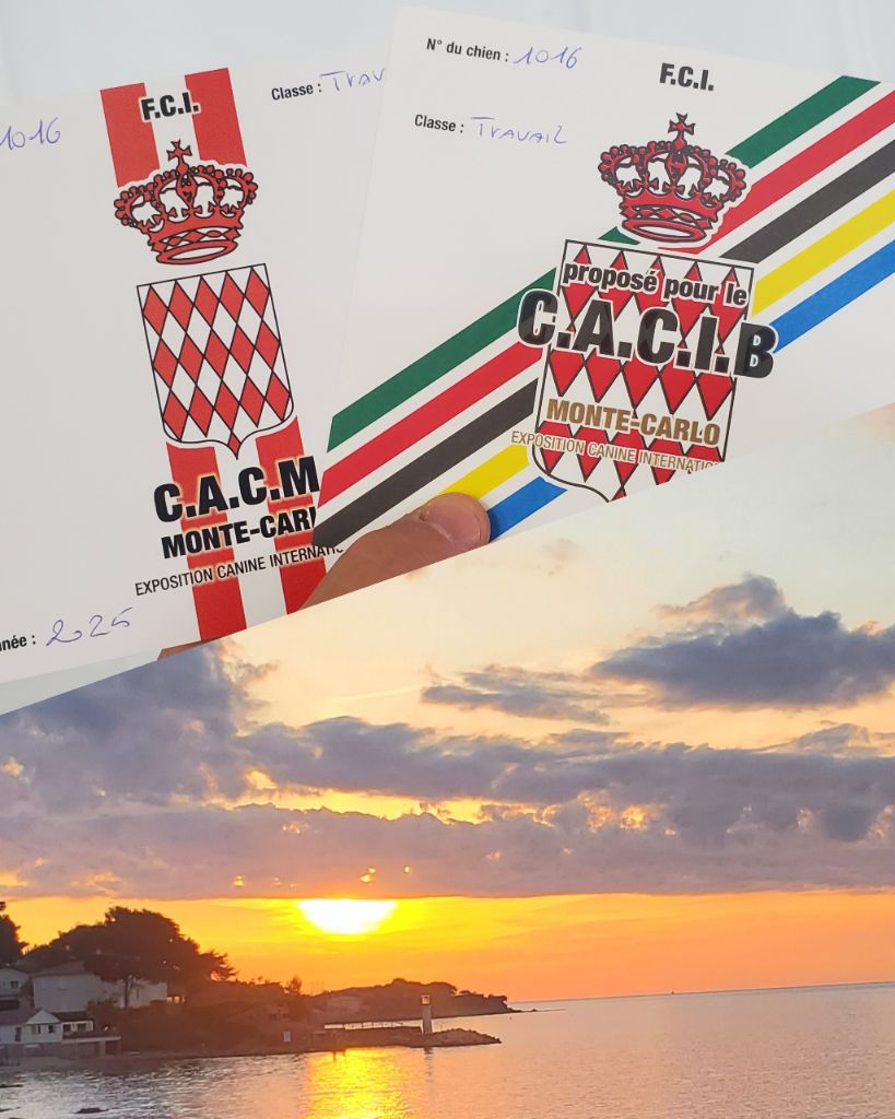 Du Sous Bois De Balmette - CACIB de MONACO