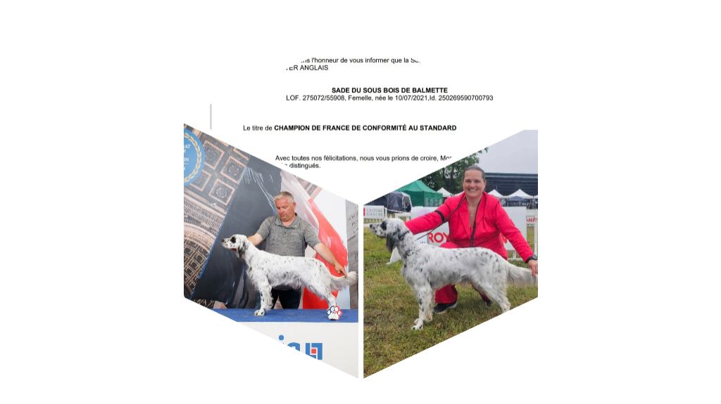 Un nouveau titre 